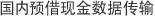 国内预借现金数据传输