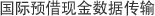 国际预借现金数据传输