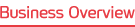 Business Overview