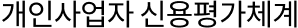 개인사업자 신용평가체계