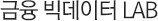 금융 빅데이터 LAB