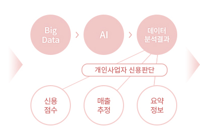 Big Data → AI → 데이터 분석 결과 : 개인사업자 신용판단 - 신용점수, 매출추정, 요약정보