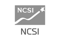 국가 고객만족도(NCSI) 신용카드 부문 1위 로고