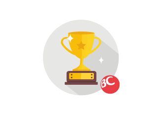 2008下半年消费者人气商品