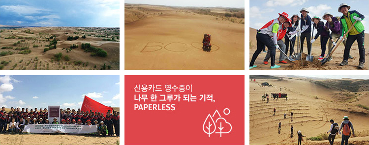 신용카드 영수증이 나무 한 그루가 되는 기적, PAPERLESS