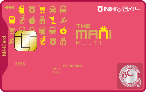 The MANI multi 카드