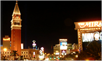 Las Vegas SHOW 50% 할인