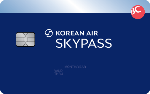 [BC공통] 스카이패스카드