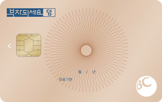 BC 바로카드 부자되세요 덤카드