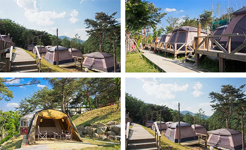 텐트 빌리지 내부 사진