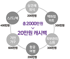 총 2000만원 > 20만원 캐시백 / 상견례 외식 200만원, 백화점 마트 300만원, 피부관리 스파 300만원, 항공 여행 200만원, 가전 가구 600만원, 스/드/메 400만원