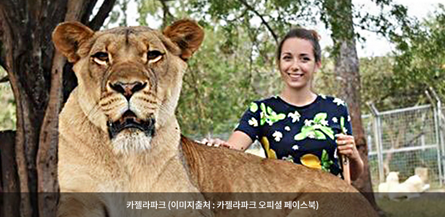 카젤라파크 / 이미지출처 : 카젤라파크 오피셜 페이스북