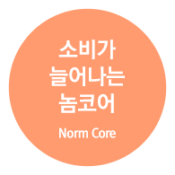 소비가 늘어나는 놈코어 (Norm Core)