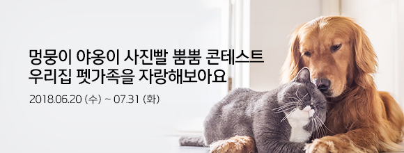 이벤트 내용을 설명합니다.